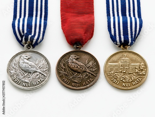 Three military medals with ribbons on a white background featuring a globe and laurel wreath medal ribbon