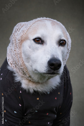 Portrait of  a white dog like elderly sadness woman with in a headscarf and t-shirt Selective focus on an eye.