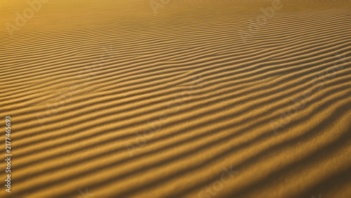 Wind ripples in desert sand, minimal natural pattern