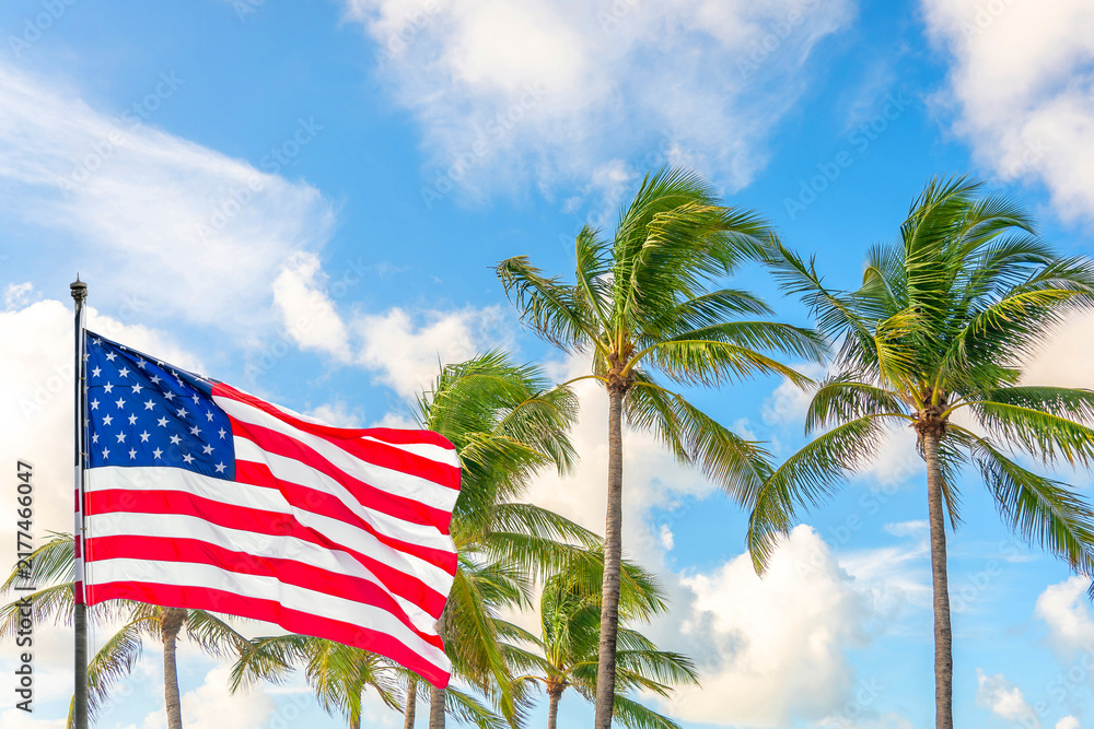 Obraz premium American flag waving against palm trees on blue sky background