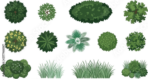 Bild auf Leinwand Various green trees and grasses in top view flat design for landscape architectu