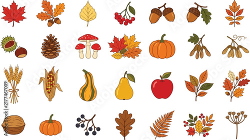 Autumn harvest elements arranged in rows with warm seasonal colors vector illustration