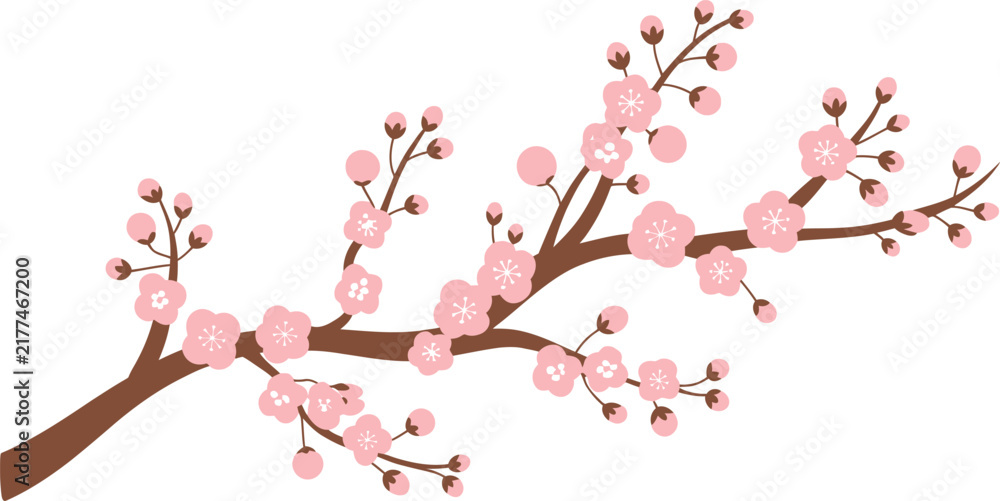 Fototapeta premium Pink cherry blossom branches with white flowers on brown wooden background