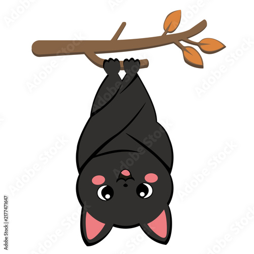     Cute Black Bat Hanging Upside Down on Branch