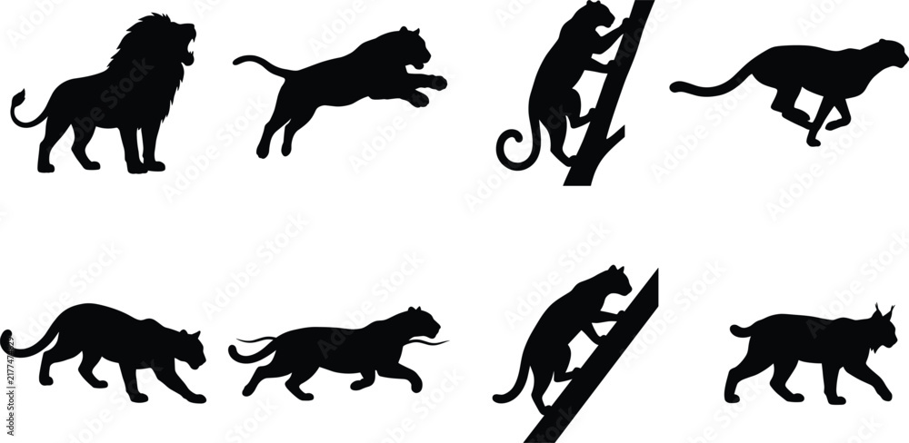 Obraz premium Set of black wild cat silhouettes featuring lions, tigers, leopards, and running panthers