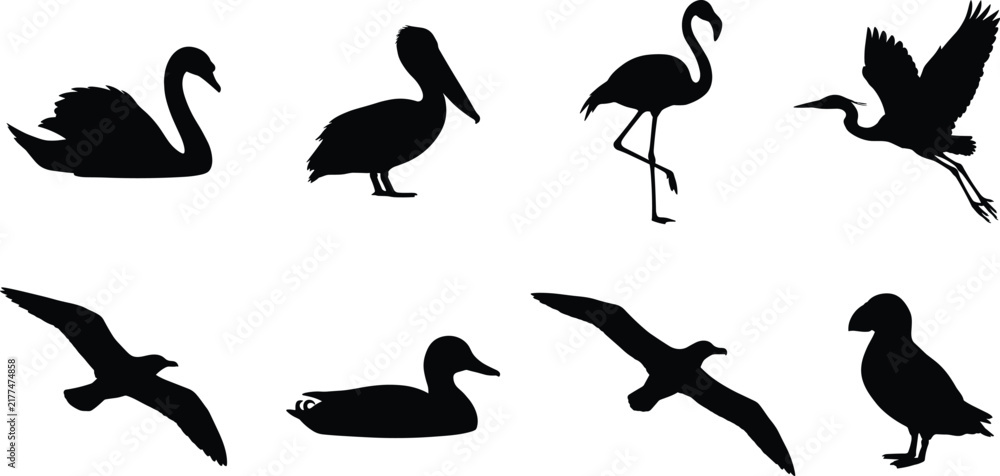 Fototapeta premium Set of black water bird silhouettes featuring swans, pelicans, flamingos, and flying seagulls