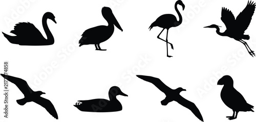 Set of black water bird silhouettes featuring swans, pelicans, flamingos, and flying seagulls