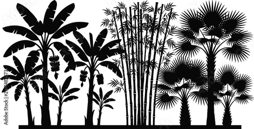 Silhouette landscape of tropical forest with banana trees bamboo and fan palms isolated on white