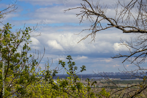 Cityscape. In the foreground there are dry branches , buildings in the distance