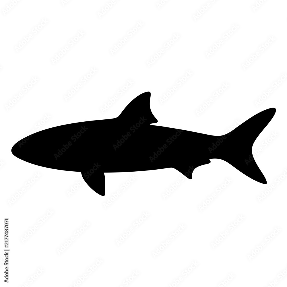 Obraz premium Black shark silhouette swimming in water - A clean black silhouette of a shark gliding smoothly through water, ideal for marine or underwater-themed designs.