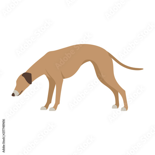 Brown dog sniffing ground cartoon style illustration