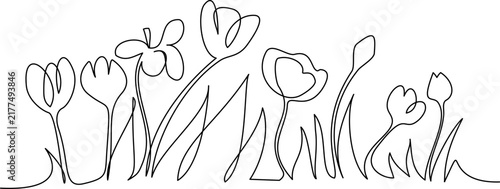 Simple continuous one line drawing of wildflowers with leaves in field, minimalistic floral design