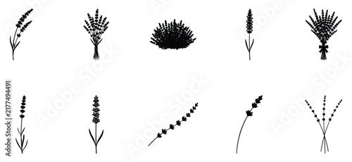 Set of black lavender silhouettes and floral botanical icons isolated on a white background for rustic design and wedding decoration