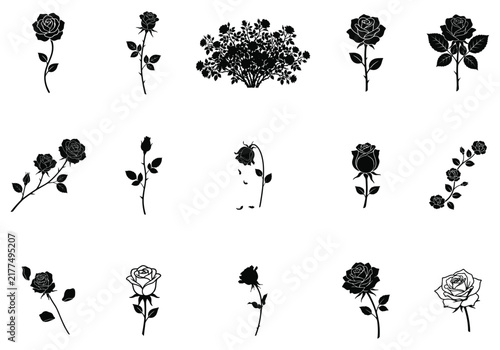 Set of black and white rose silhouettes and floral design elements isolated on white background for decorative projects