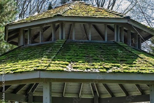  Close-up view of a weathered gazebo with a lush moss-covered roof surrounded by trees at Rosetta Gardens, Scarborough, Ontario, Canada 