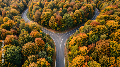 A clear Y-shaped road junction branches through a dense forest filled with vivid golden, orange and red autumn foliage.