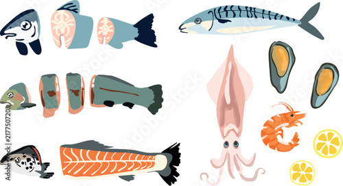 Vector set of illustrations of salmonids and seafood in cross-section