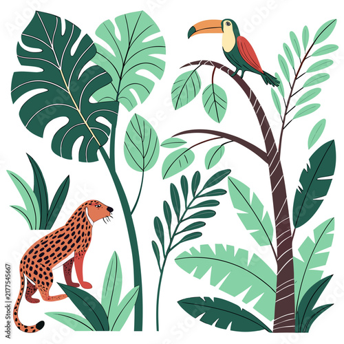 bird of paradise