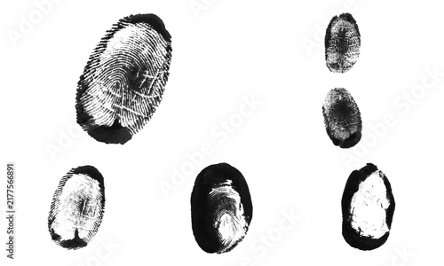 Obraz na płótnie Black ink fingerprints and thumbprints collection showing unique human identity