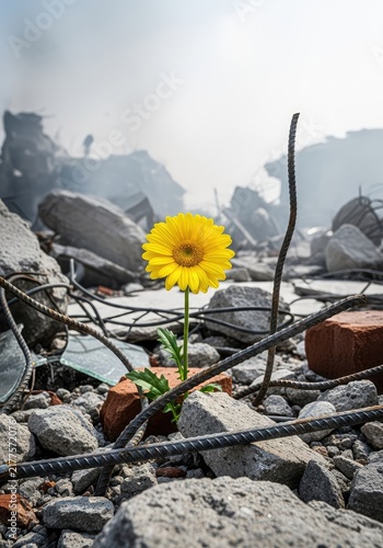 A bright yellow daisy grows amidst the grey rubble and twisted metal of a destroyed urban landscape under a hazy sky of smoke and debris, outdoors, contrast, nature