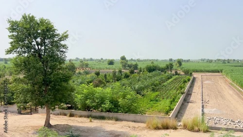 A charming farmhouse situated in the tranquil atmosphere of a rural area, surrounded by date palms, lush greenery, and colorful vegetation. 4k video