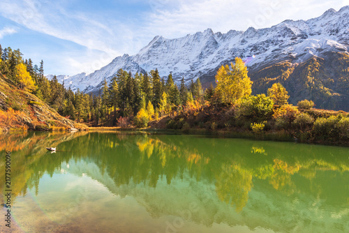 Fotografie Clear mountain pond reflecting golden autumn trees and snow-covered peaks in the Swiss Alps
