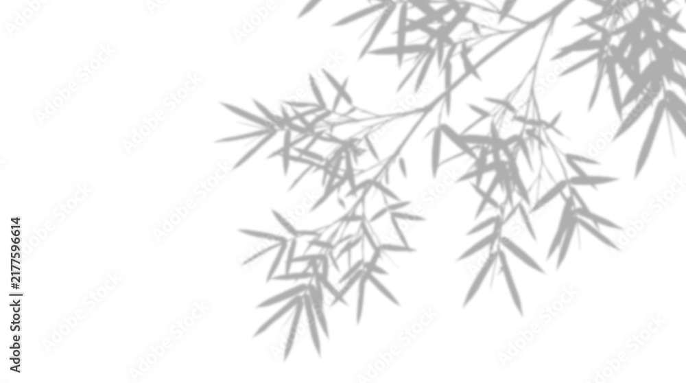 Obraz premium Bamboo leaf shadow overlay isolated on transparent background