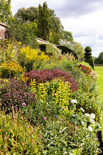 Plants and flowers in a herbaceous border in an English garden in September