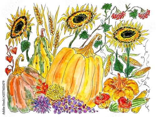 Autumn harvest pumpkins and sunflowers, watercolor illustration