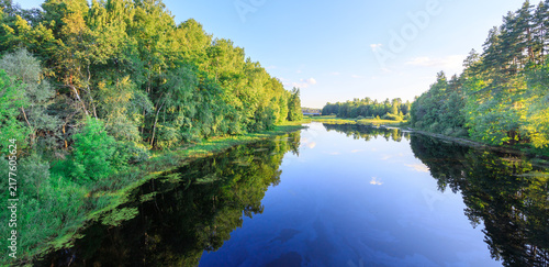 Photography Wide river surrounded by dense green trees, mirror-like surface