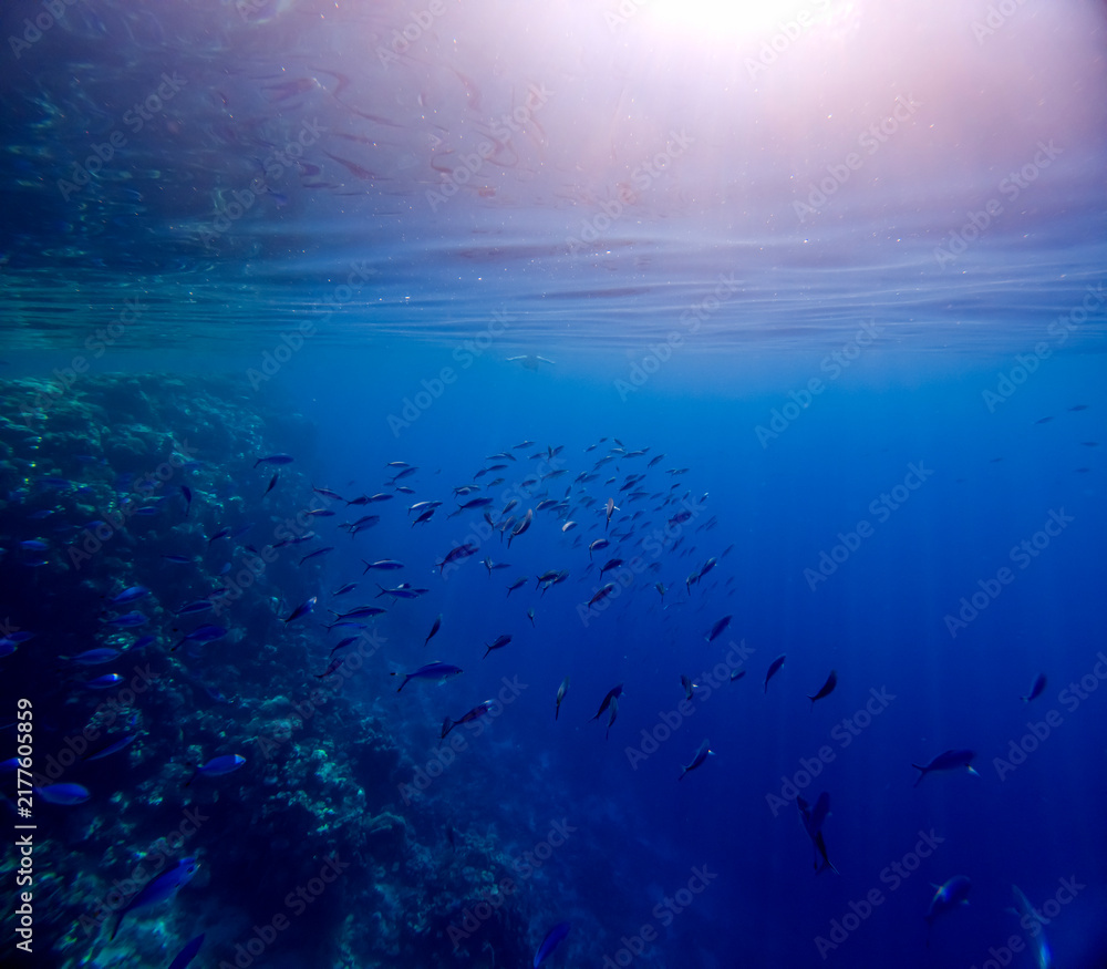 Fototapeta premium Sunlight pierces deep ocean waters, casting golden beams