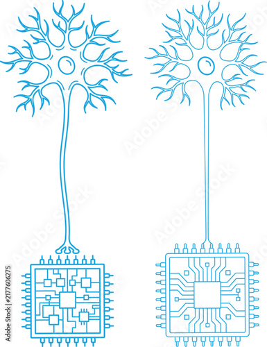 Conceptual illustration showing biological neurons connected to electronic computer chips representing the fusion of brain and technology
