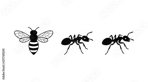 Black silhouettes of a bee and two ants on a white background