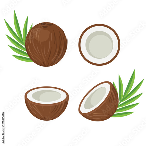 Coconut collection in flat style
