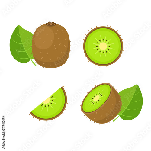 Kiwi fruit collection in flat style