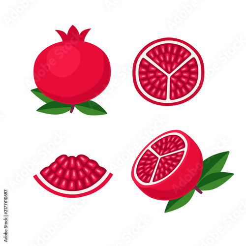 Pomegranate collection in flat style