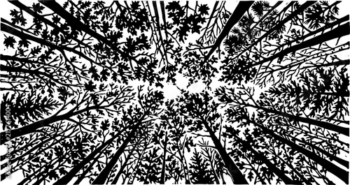Monochrome forest canopy silhouette from a low angle perspective