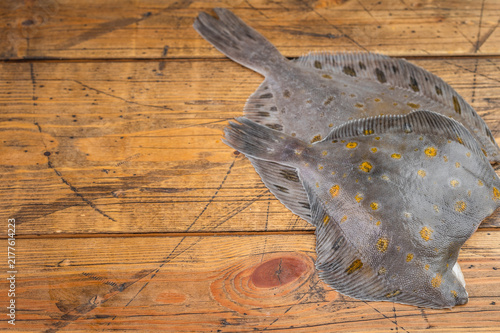 Quadro su tela Fresh plaice flatfish on wooden table raw seafood ingredient with natural skin t