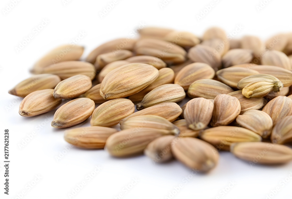 Obraz premium Agriculture and food security, pile of raw sunflower seeds for healthy nutrition and organic farming industry, macro shot on a clean white background