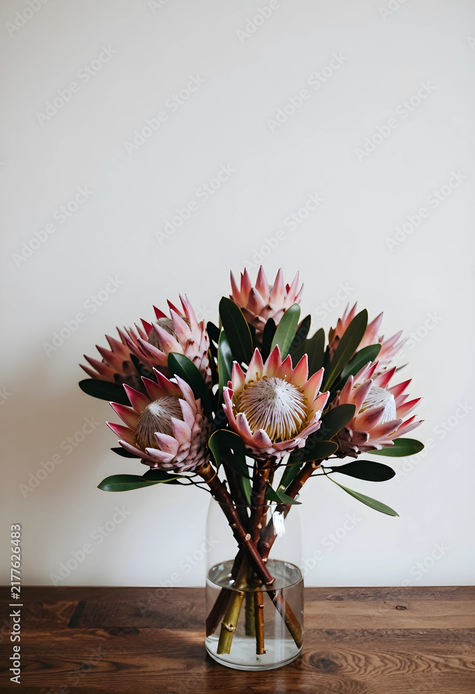 Obraz premium Interior design and home decor, bouquet of pink king protea flowers in a glass vase on a wooden table for lifestyle and botanical aesthetic concepts