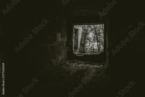 Black and white image of a decaying abandoned building interior with peeling walls and debris, trees in broken window opening