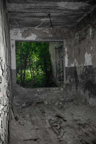 Decaying interior of abandoned building with peeling walls and debris, vibrant green foliage bursting through a broken opening in contrast