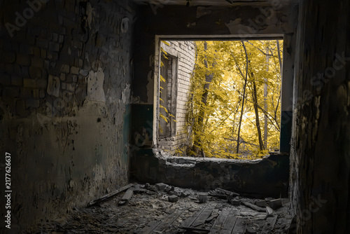 Urban decay contrasts with nature, greenery behind crumbling walls of abandoned building