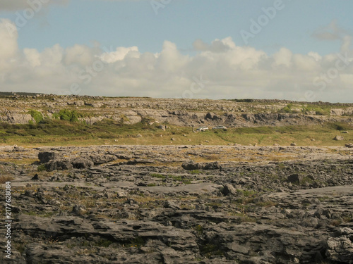 Фотография Desolate hillside with cracked earth and scattered shrubs