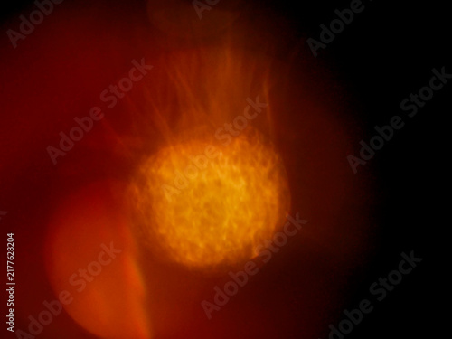фотографія Warm, glowing orb with radiant tendrils