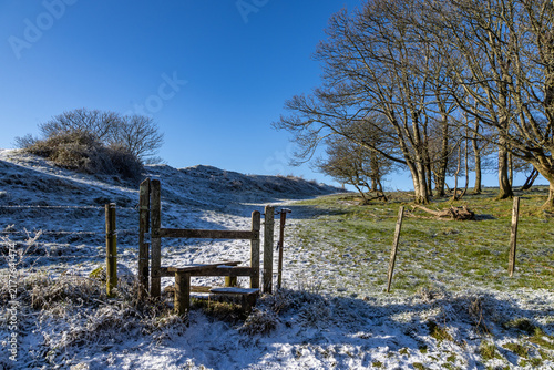 Foto A snow covered path near Devil's Dyke in the South Downs, on a sunny January day