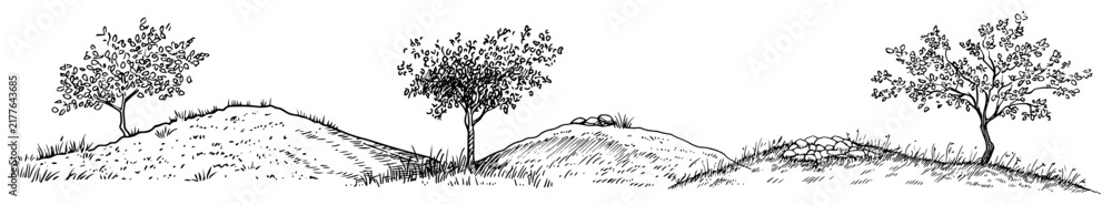 Obraz premium Rolling hills with sparse trees in rural countryside landscape sketch style