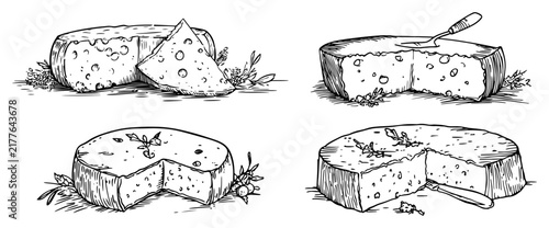 Foto Cheese wheels and wedges with cheese knives in several variations hand drawn doo