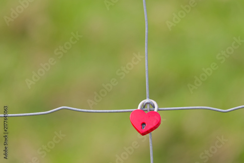 Cuadro en lienzo Red heart shaped padlock hanging on wire fence with green blurred background