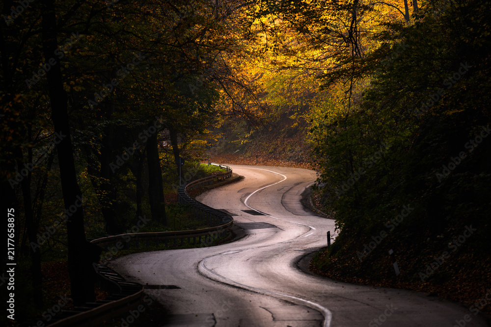 Obraz premium Winding autumn road through forest with golden light